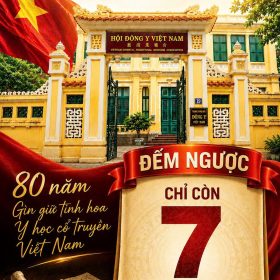 hoidongyvietnam