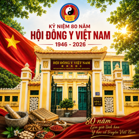 hoidongyvietnam_2